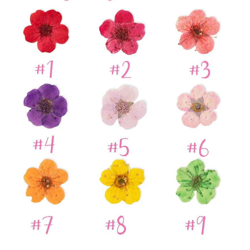 Custom Pressed Flower Signet Ring