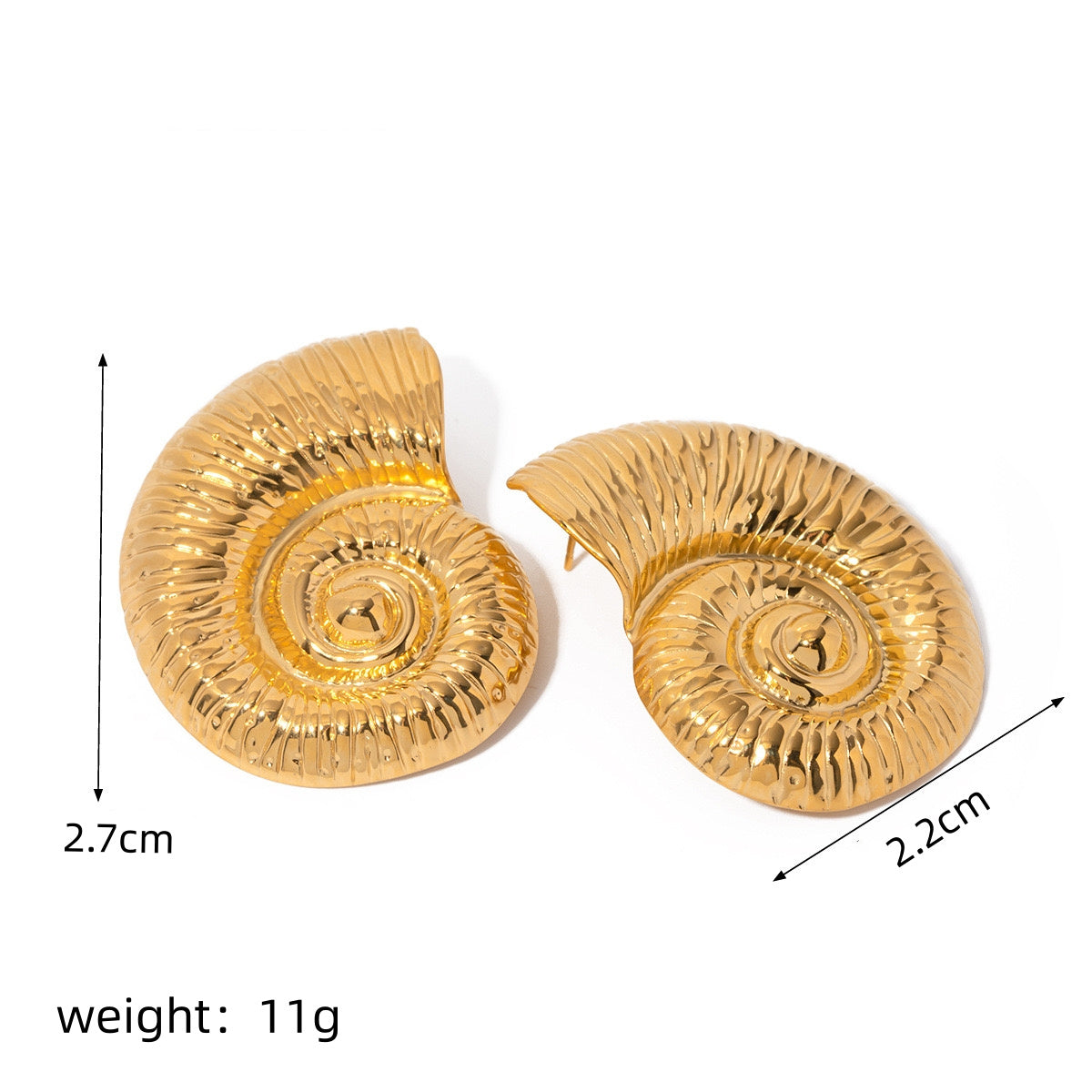 Hermit Shell Stud Earrings