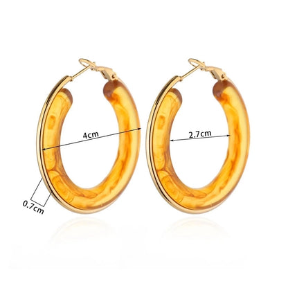 Earthy Resin Smoke Hoop Earrings